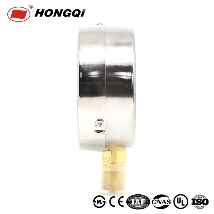 Chinese Manufacturer Supply SS304 100mm Pressure Gauges